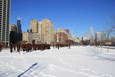 Chicago - Grant Park mit Bein Skulptur